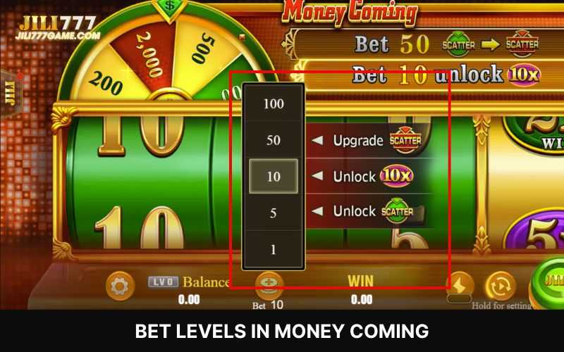 Bet Levels and Features