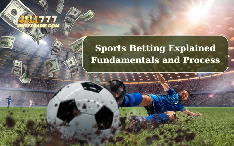 A Beginner’s Guide to How Sports Betting Works