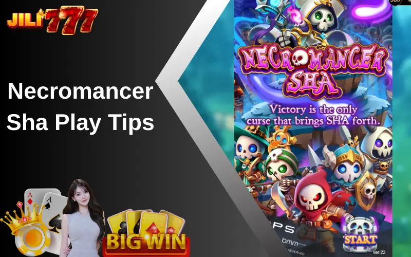 Necromancer Sha Play Tips